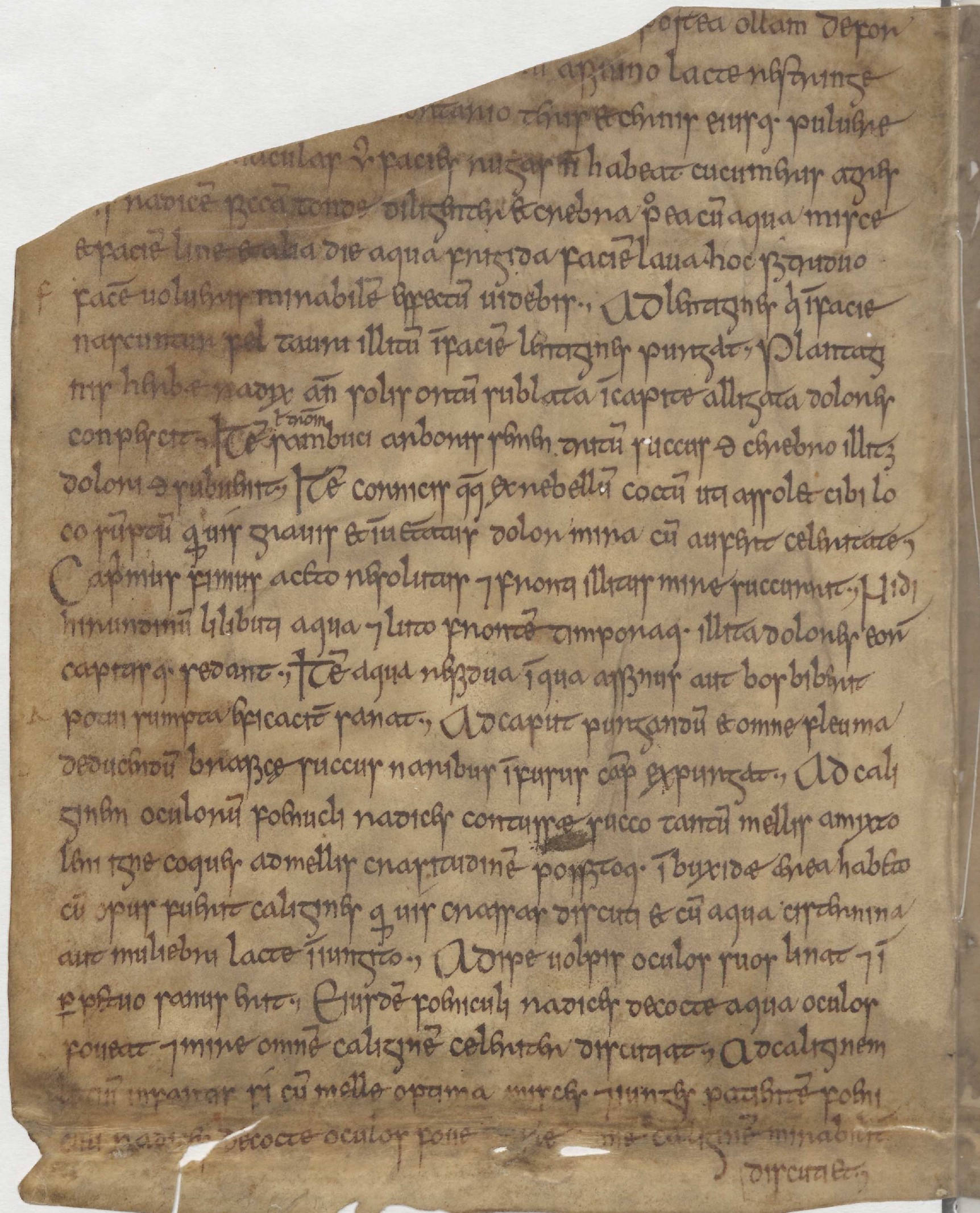 Manuscrit de Leyde - Page 2