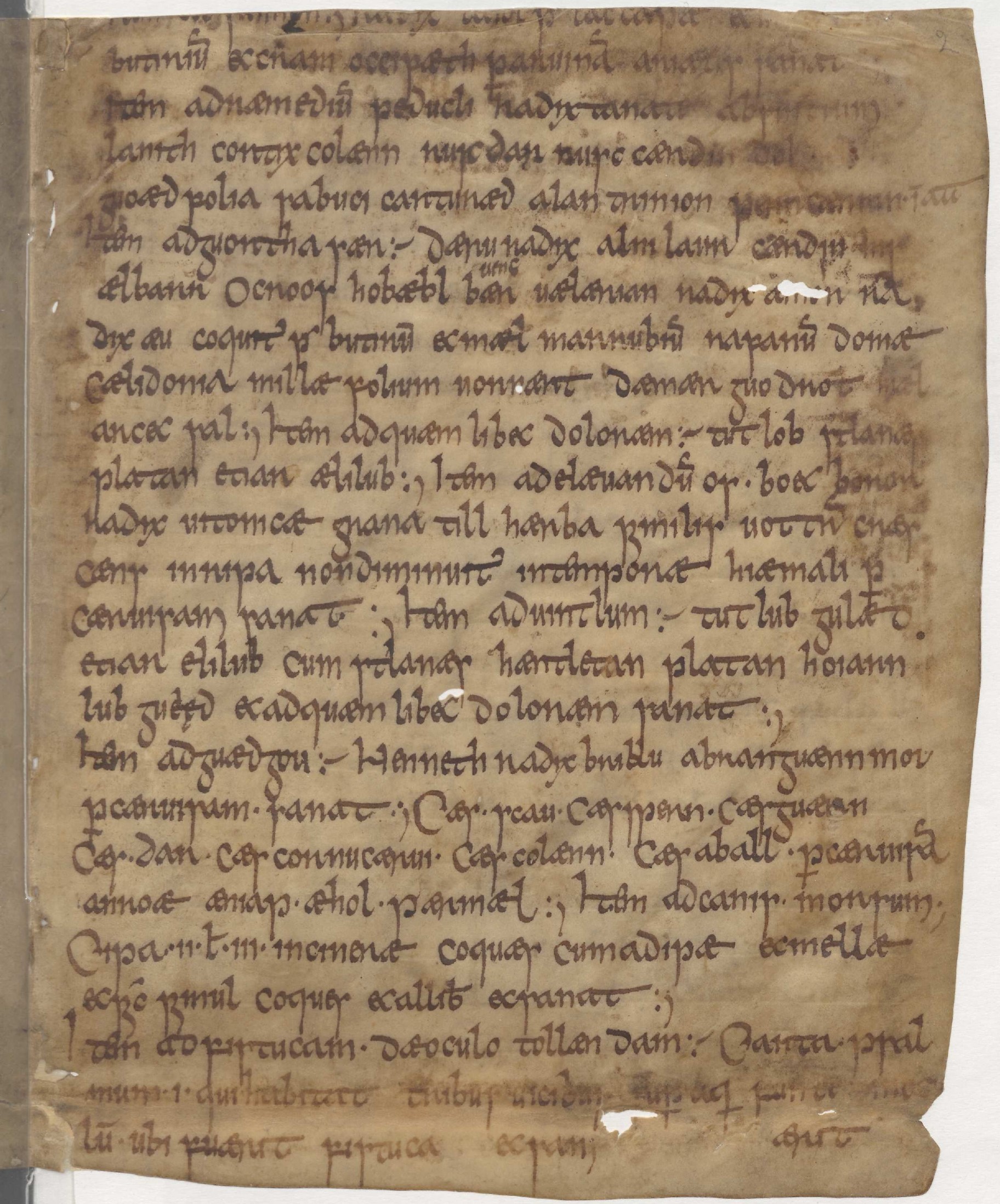 Manuscrit de Leyde - Page 3