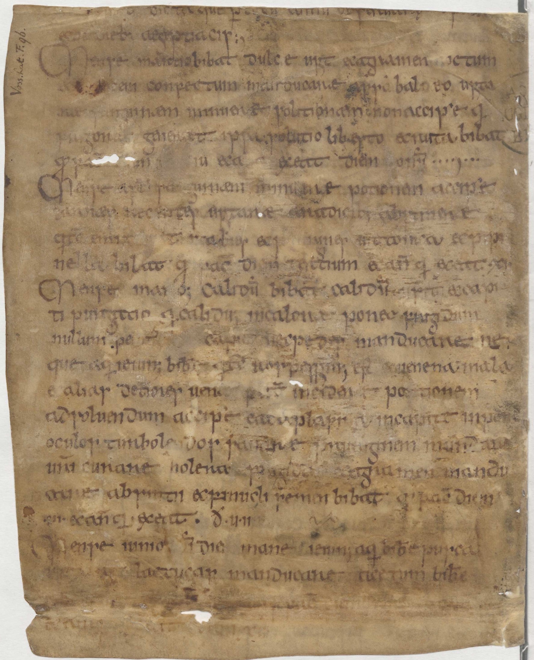 Manuscrit de Leyde - Page 4